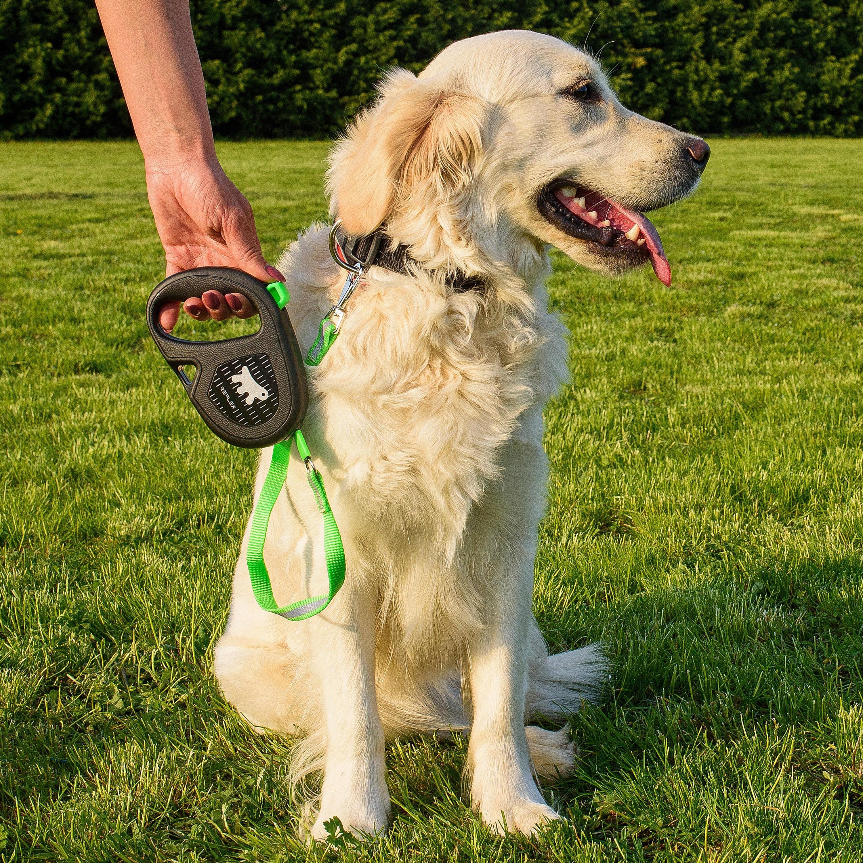 FLIPPY ONE REFLEX TAPE