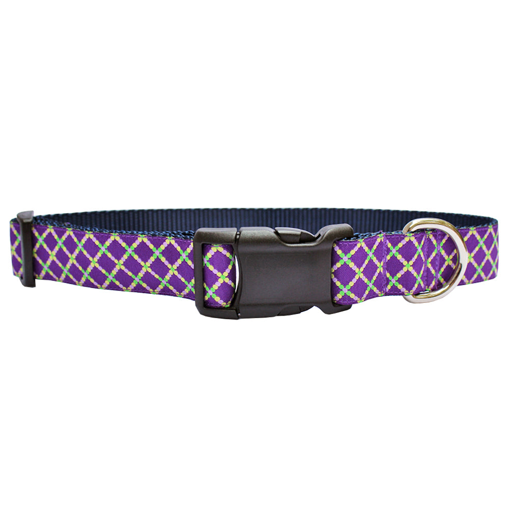 Mardi Gras Mambo Beads Dog Collar