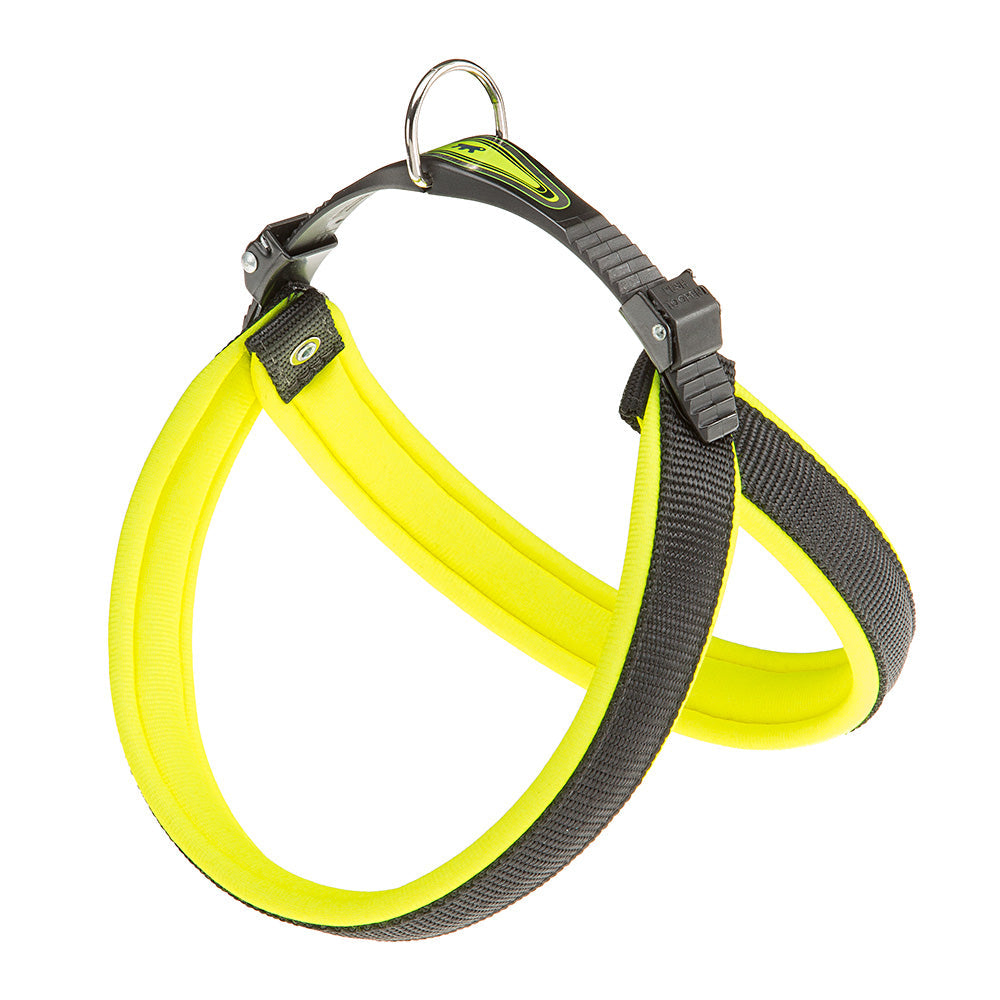 AGILA FLUO 1-9