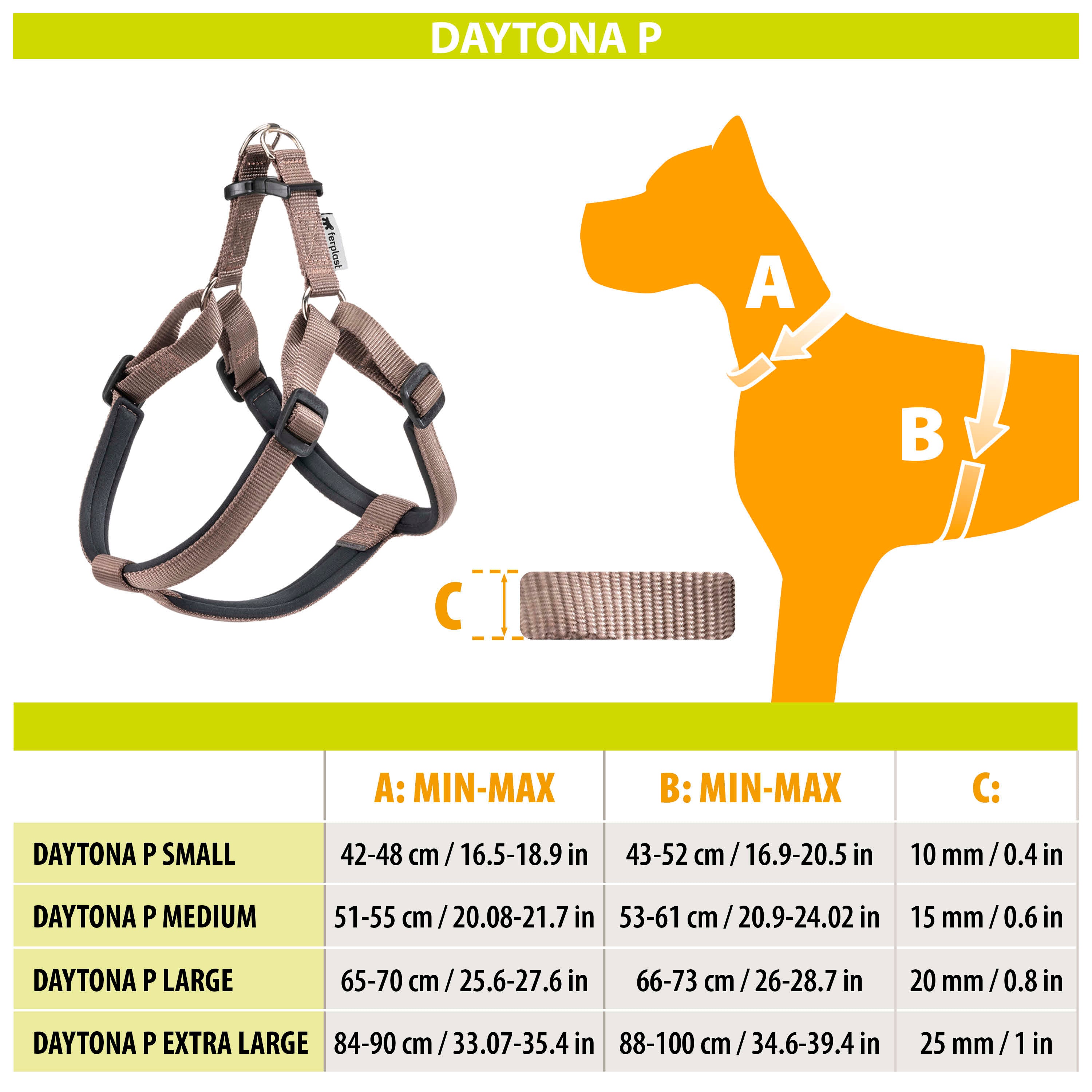 DAYTONA P