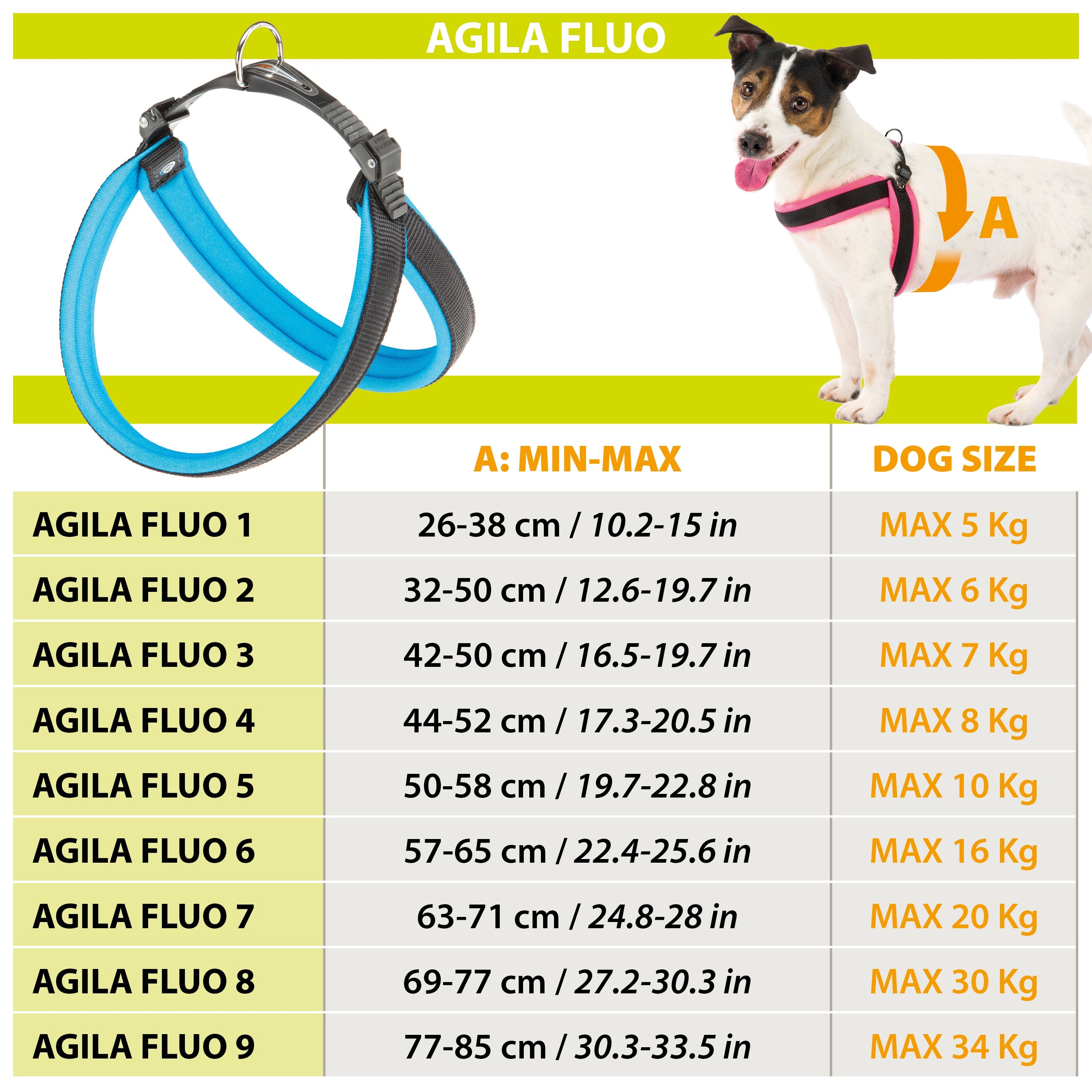 AGILA FLUO 1-9