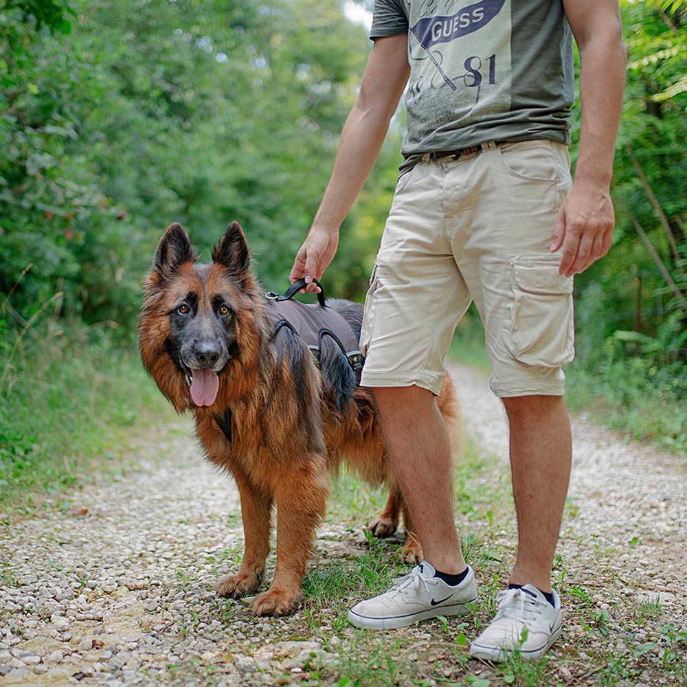 ERGOTREKKING