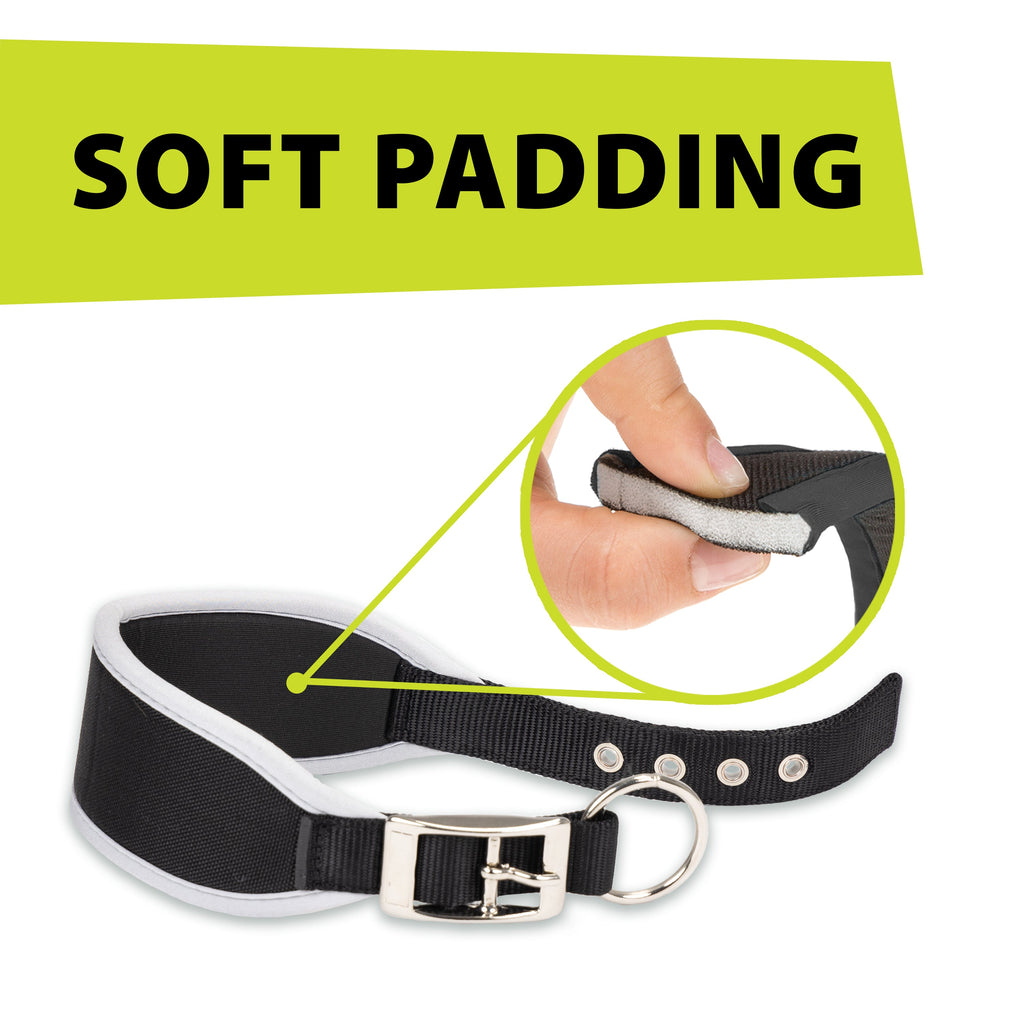 ERGOCOMFORT CW