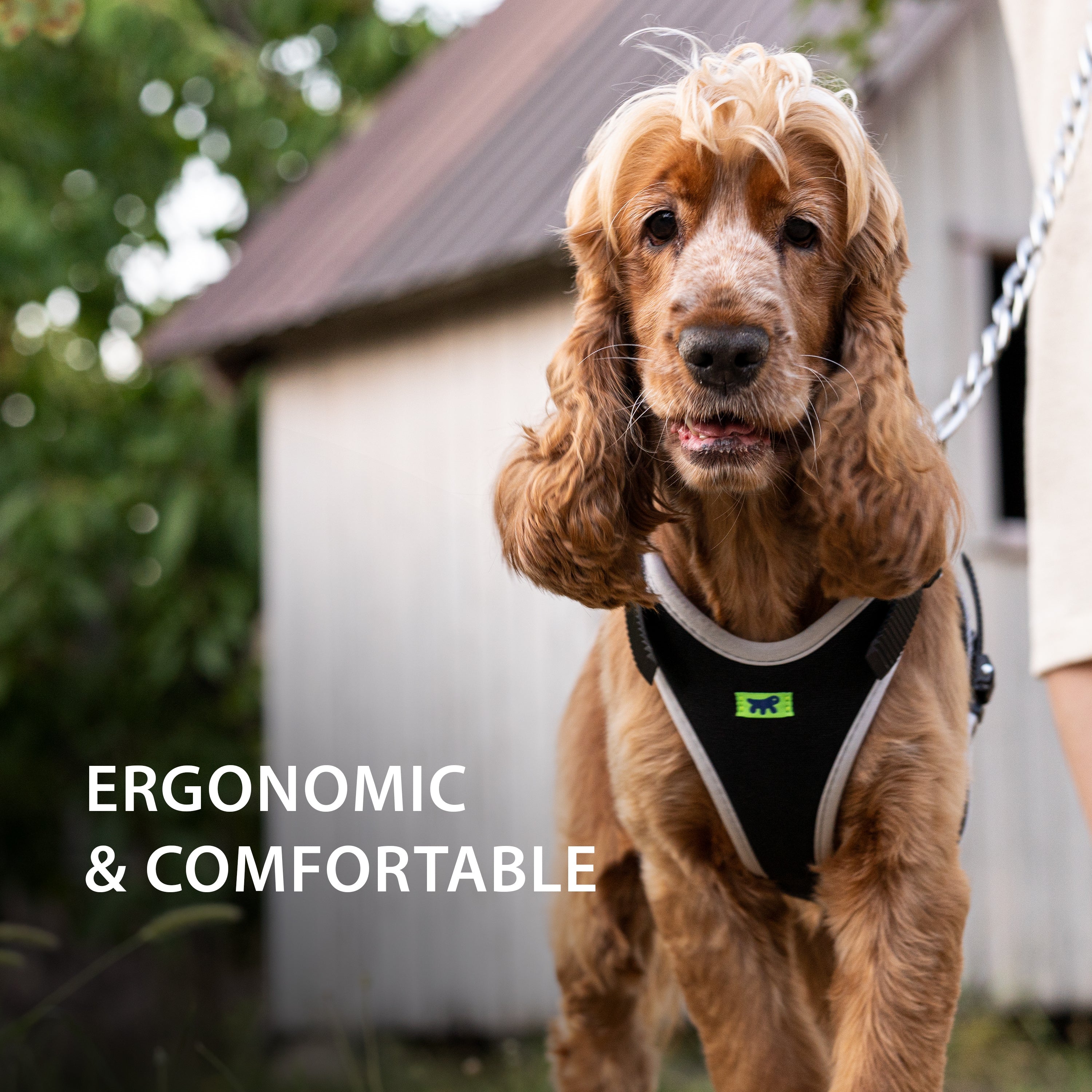 ERGOCOMFORT P